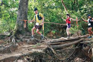 BIB: 
                            <button type="button" onclick="openModal(27556273)" class="btn btn-primary btn-sm float-right btn-popup" data-toggle="modal" data-target=".modal-high-quality">
                        <i class="fas fa-shopping-cart"></i> Add to Cart
                    </button>
                                            <button type="button" onclick="isThisMe(27556273, true)" class="btn btn-success btn-sm float-right btn-popup btn-isme hidden" data-toggle="tooltip" data-placement="bottom" title="นี่คือรูปของคุณใช่ไหม คลิกที่นี่เพื่อเอาเข้าอัลบั้ม">
                        <i class="fas fa-plus"></i> Add to album
                    </button>
                    <button type="button" onclick="isThisMe(27556273, false)" class="btn btn-warning btn-sm float-right btn-popup btn-isnotme hidden">
                        <i class="fas fa-ban"></i> Remove from album
                    </button>